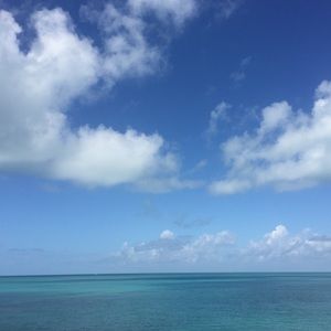 Meet your Posher, Sophie